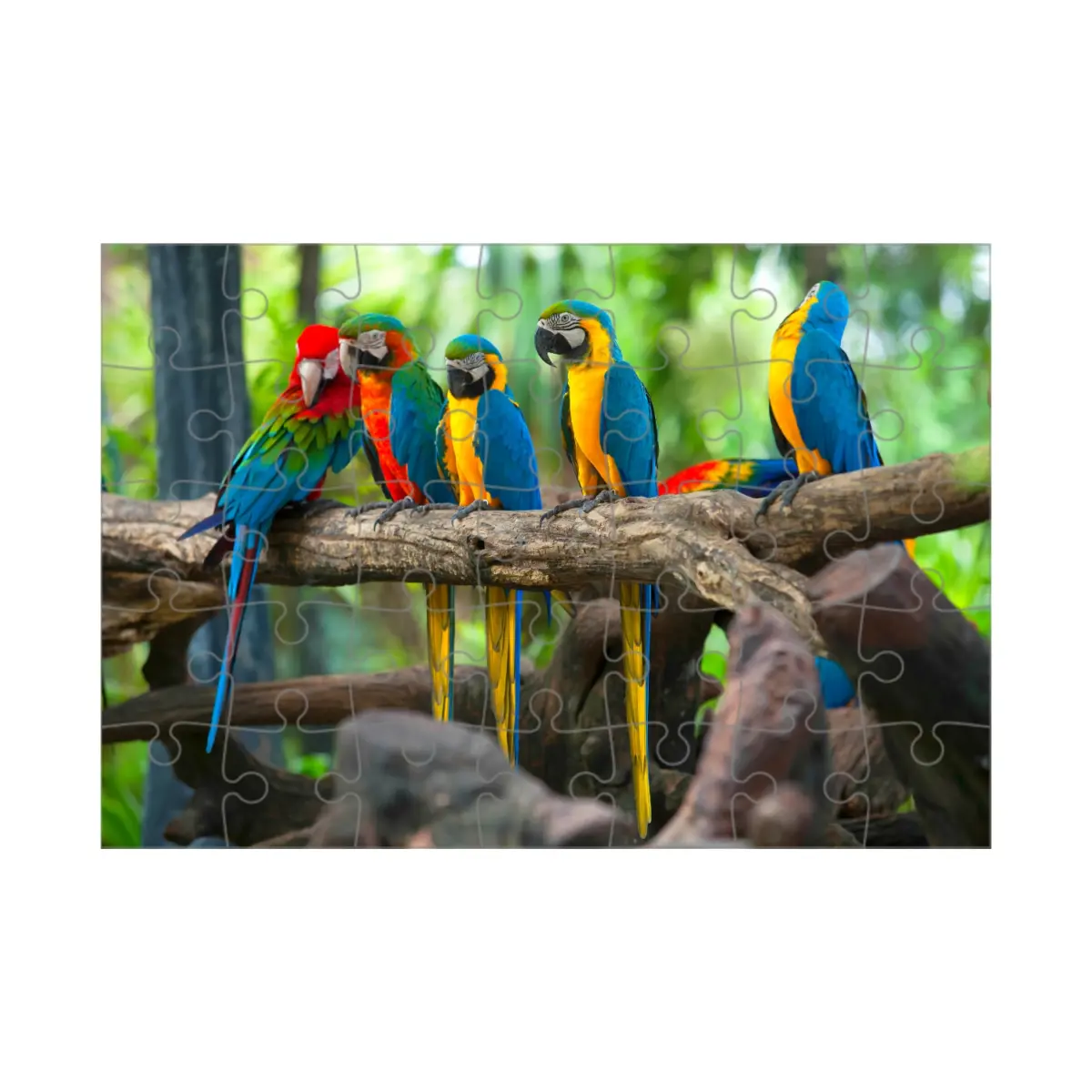 Puzzle ze zdjęcia 24 elementy