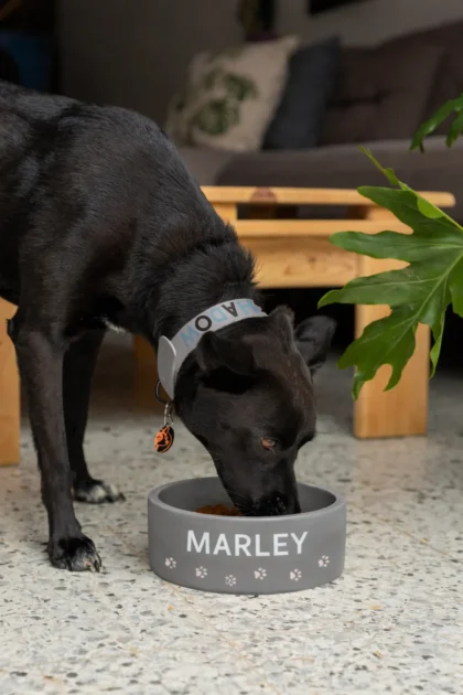 szara miska dla psa z nadrukiem 15cm