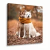 personalizowany obraz ze zdjęciem 70x70
